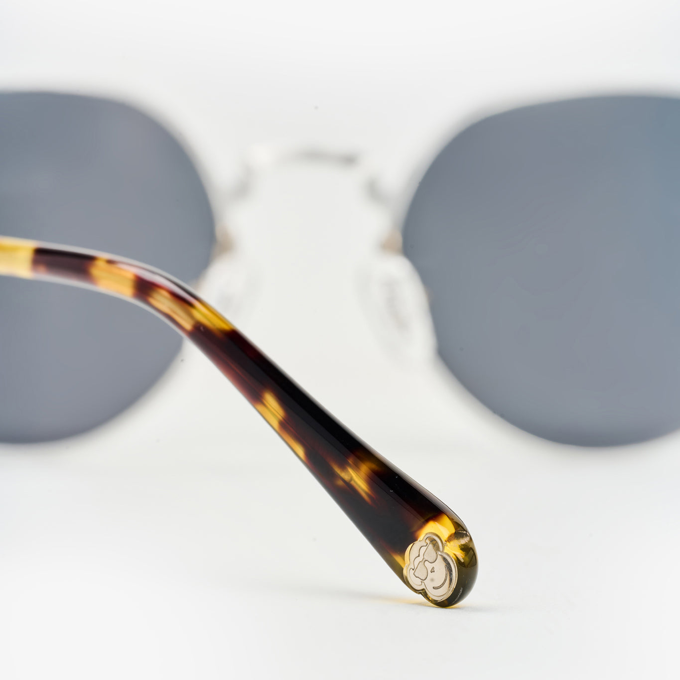 Resort Frosted Silver