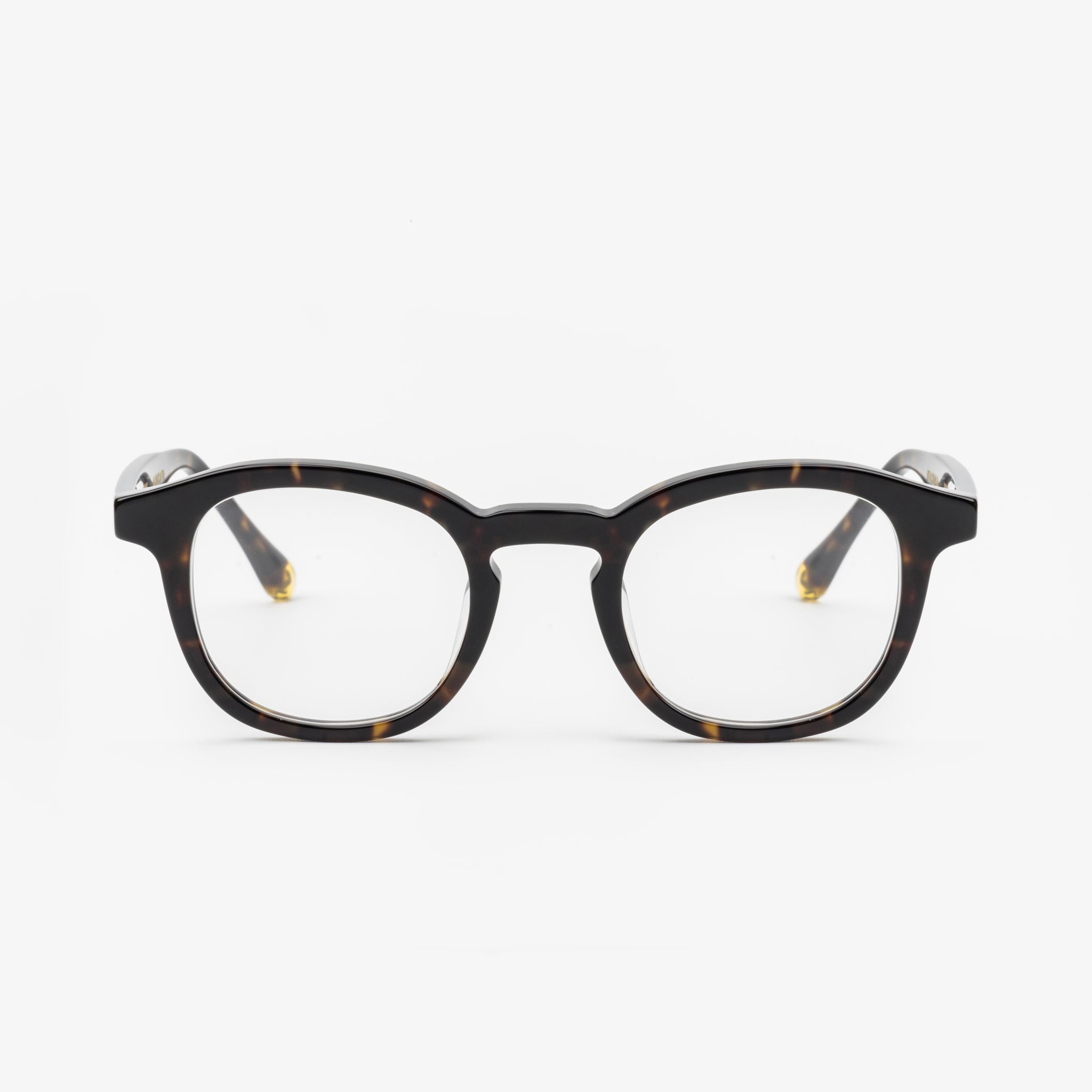 Bellucci Dark Brown Formuladas